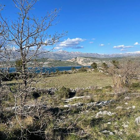 Villa Planita Dalmacija Novigrad  Екстер'єр фото