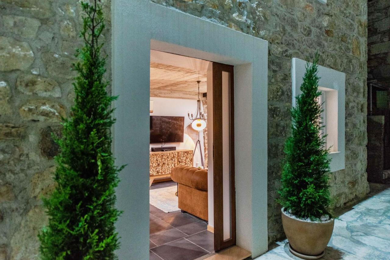 Villa Planita Dalmacija Novigrad  Екстер'єр фото