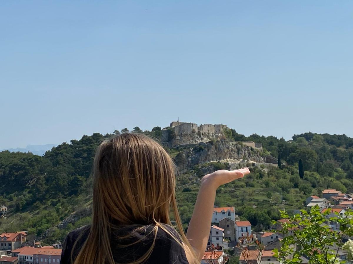 Villa Planita Dalmacija Novigrad  Екстер'єр фото